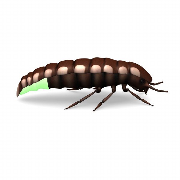retro glow worm